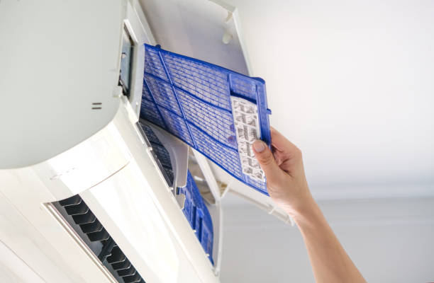 Best Home Air Vent Cleaning  in Warren, MN